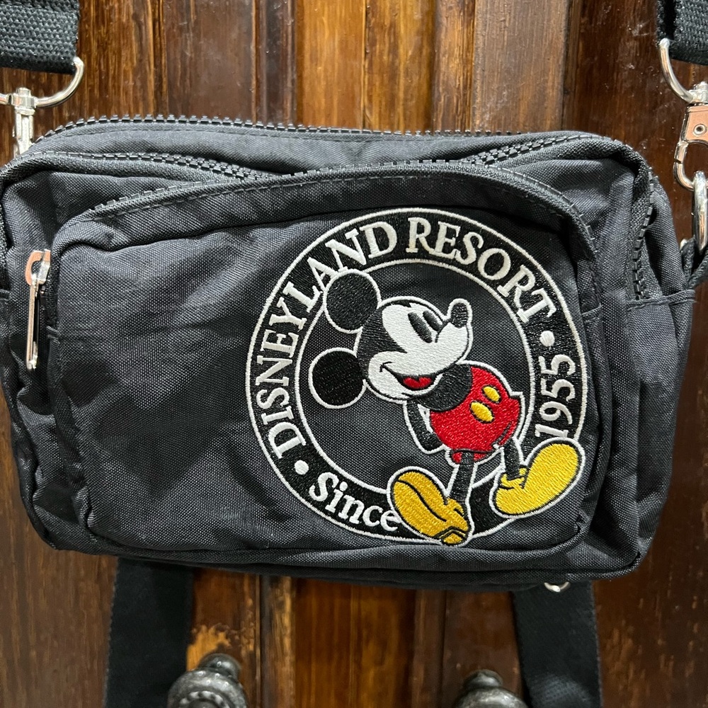 Disneyland Resort convertable fanny pack with Disneyland pins included!